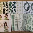From, serene4 이미지