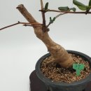 인동농장 이미지