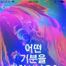 테일러쉬