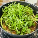 남양천동로 R | 마곡 양천향교역 맛집 매일 아침 직접끓이는 육수가 맛있는 미나리 가득 샤브샤브 칼국수 메뉴 주차