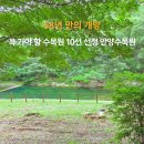 수목원 | 58년 만의 개방 ! 꼭 가야할 전국 수목원 10곳 선정 안양수목원 방문후기