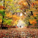 정희목장 이미지