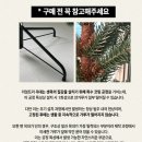 180 | 그리밋 트리 180 솔직후기, 올해 크리스마스 트리 고민 끝