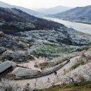 매화마을사거리.매화마을2단지 이미지