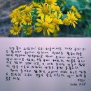 문득 그집 이미지