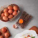 바른농장계란 이미지