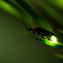 제주반디하우스 이미지