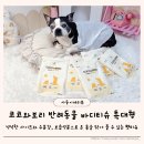 코코펫동물판매장 | 코코와보리 펫티슈 한 장으로 온몸 케어하는 강아지물티슈