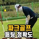 💥⛳️🎴파크골프 퍼팅 정확도 높이기🎴⛳️💥 이미지