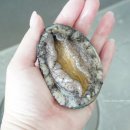 애바다 농장 이미지