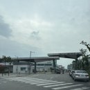 주문진농수산 | 수원 농수산물도매시장 생새우회 추천 봉남수산 내돈내산 솔직후기