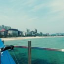 송정해양레저마리나 이미지