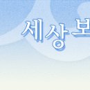 달개비 꽃 사랑 - 닭의장풀 이미지