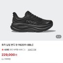 본디시코리아