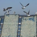 선창 농장 이미지