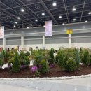 페스타임 | 2025 양재 플라워 페스타 후기