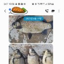 신원낚시터 이미지