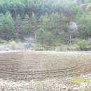 선유동2로 이미지