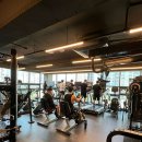 와일드짐 이미지