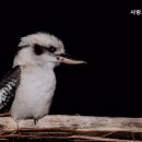 모아요양원 이미지