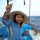 대포동호스텔 이미지