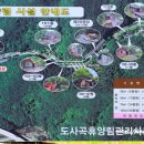 도사곡휴양림야영장 이미지