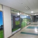 에스-메카스크린골프