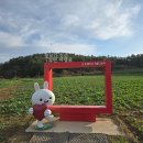 황토갯벌랜드2 이미지