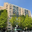 압구정-117 이미지