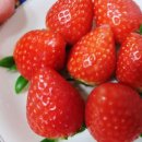 해복농장 이미지