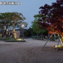 러브썸팜 이미지