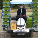 거창읍-29 이미지