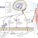 김인상한의원 이미지
