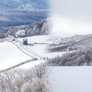 이세일목장 이미지