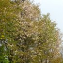 박정희내과의원 이미지