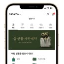 쑥닷컴