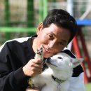 동물농장 한국경제