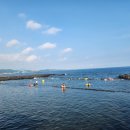 하예동-8 | [제주 여행][제주 서귀포] 바다와 민물이 만나는 천연 수영장, '논짓물' 스노클링 명소 정복!