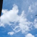 두꺼비상사 이미지