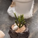 상춘꽃농원 이미지