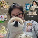 익산행복약국 | 대전 최고 라멘 오픈런하고 두쫀쿠 신상 디저트 먹고 인생드라마 찾은 사람의 일상