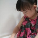 퍼피멍멍 이미지