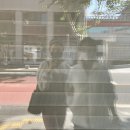 동인동으로간돼지