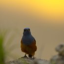 노을과바다 이미지