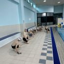 용인대범호태권도장 이미지