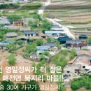 영일가구
