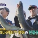 터치드바이뉴질랜드 이미지