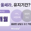 링클성형외과의원