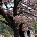 24.04. 월말정산: 콘텐츠 과다. 이보다 더 재밌을 수 있다면 날 데려가 봐!