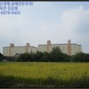 감나무골천 이미지